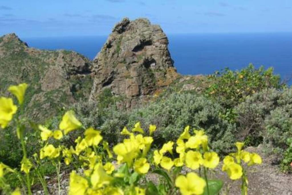 House Rural,Biosphere Reserve World.Taganana.Tfe. Santa Cruz de Tenerife Zewnętrze zdjęcie